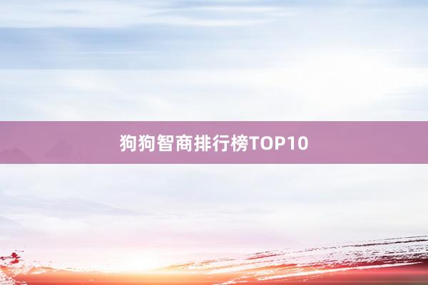 狗狗智商排行榜TOP10