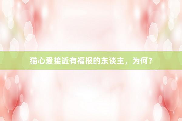 猫心爱接近有福报的东谈主，为何？
