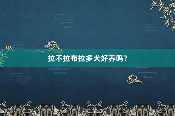 拉不拉布拉多犬好养吗？