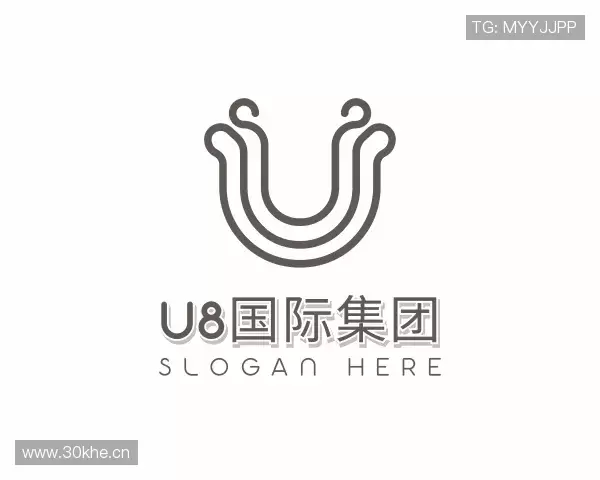 关于U8国际集团